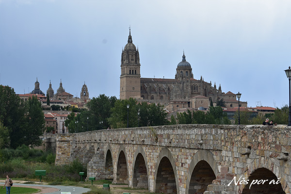 Ponte romana, Salamanca